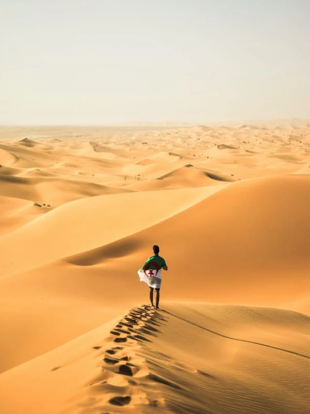 A Vast Wilderness: Journey Through the World’s Largest Dry Land